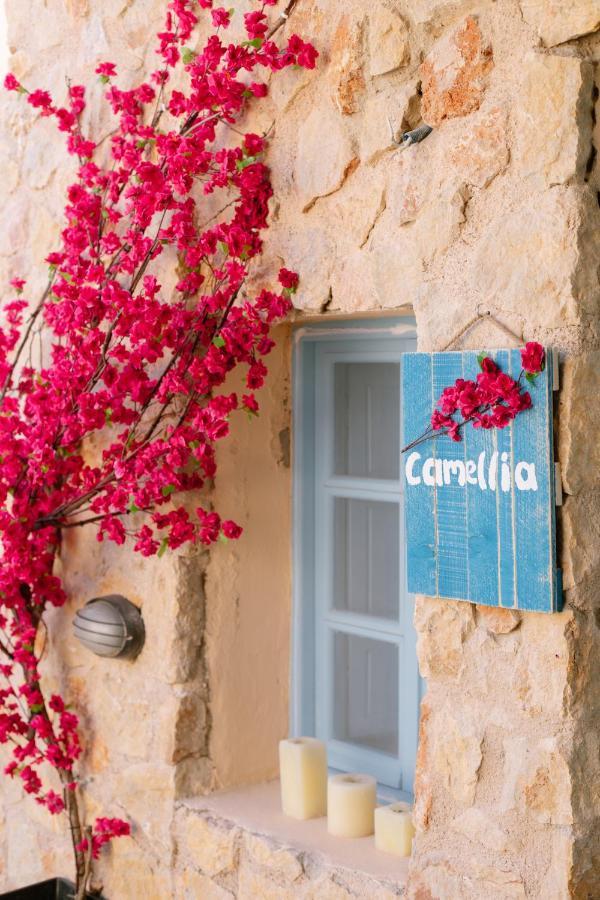 Villa Antheia Καρτεράδος Εξωτερικό φωτογραφία