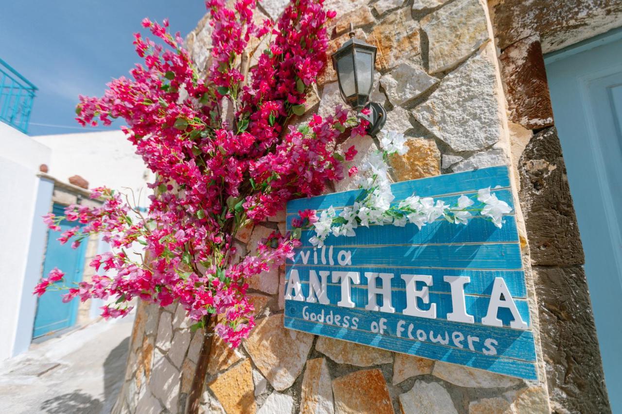 Villa Antheia Καρτεράδος Εξωτερικό φωτογραφία