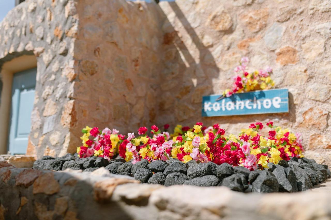 Villa Antheia Καρτεράδος Εξωτερικό φωτογραφία