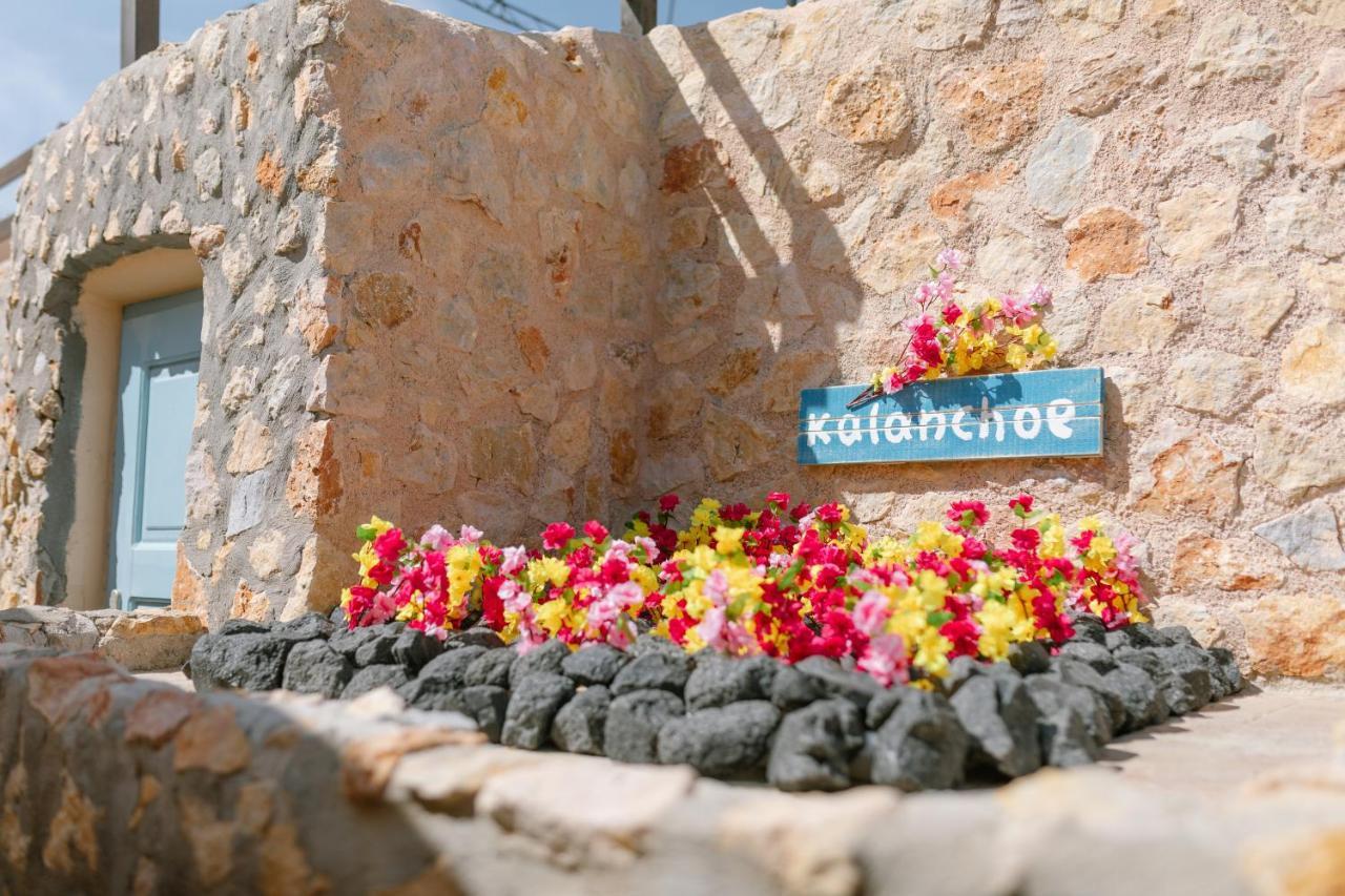 Villa Antheia Καρτεράδος Εξωτερικό φωτογραφία