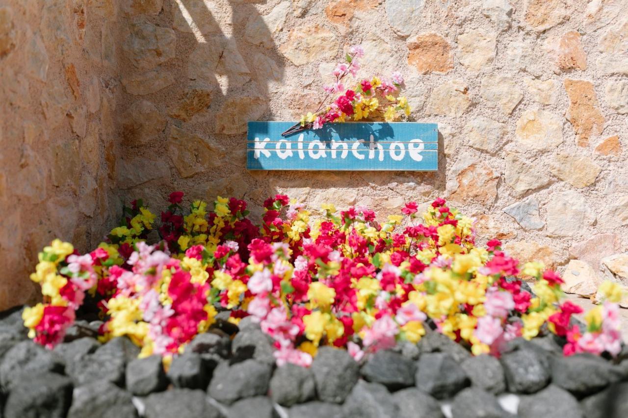 Villa Antheia Καρτεράδος Εξωτερικό φωτογραφία